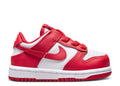 Nike Dunk Low 'University Red' TD/PS FB9107 119
